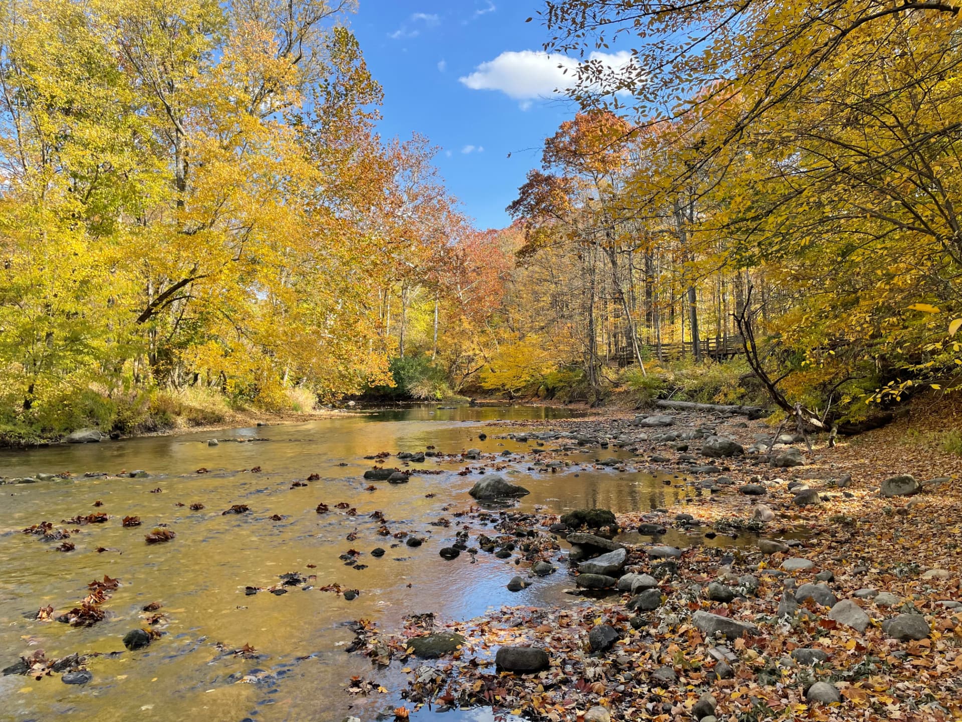 A rocky creek winding through autumn woods on protected land